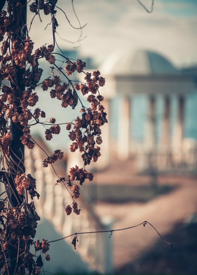 Осенний Воронеж, смотровая площадка на Спортивной Наб?...