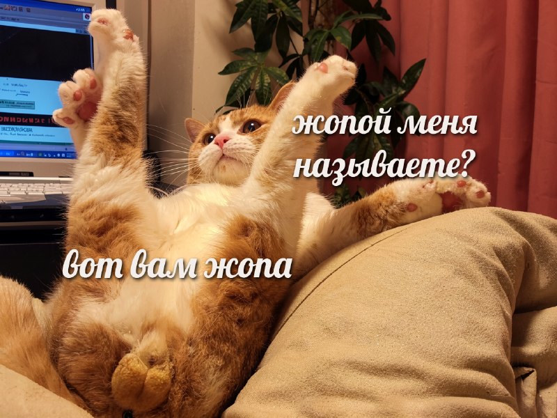 Сегодня отмечается Международный день «Отправь нюдсы первым»
Сегодня принято проявлять инициативу и