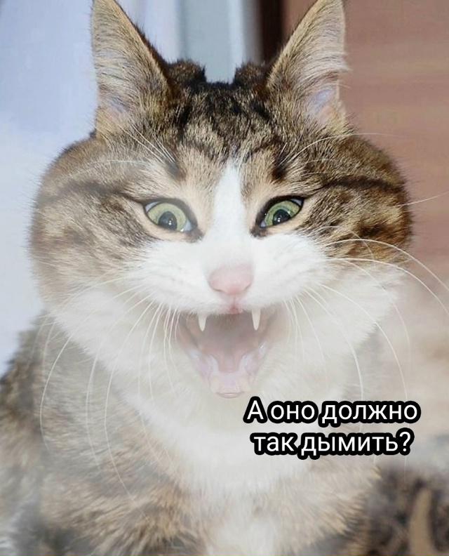 Когда съехал от родителей