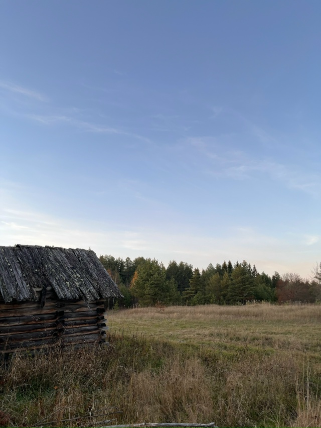 Родные просторы ✨