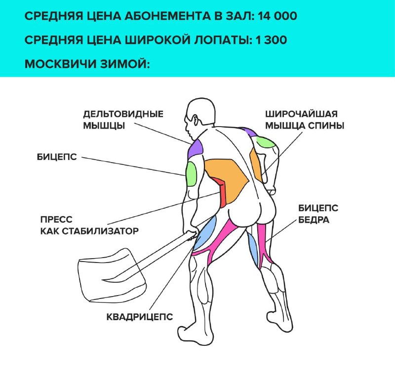💪 Учимся видеть плюсы в снегопаде: есть хорошие шансы сбросить пару кило перед новогодним застольем