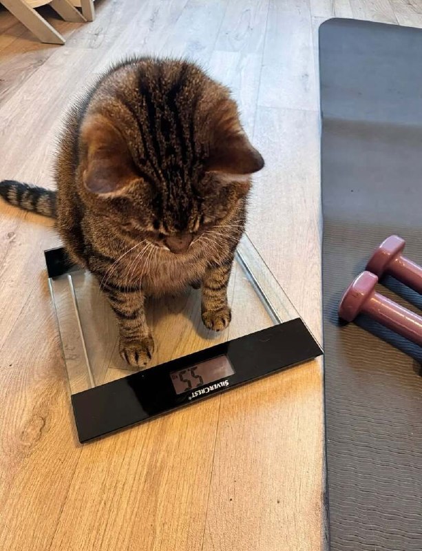 Трагедия в трёх актах