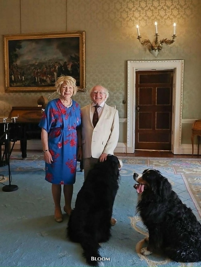 Президент Ирландии Майкл Хиггинс давно известен не то?...