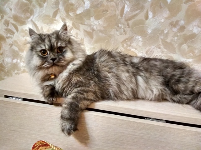 Макс