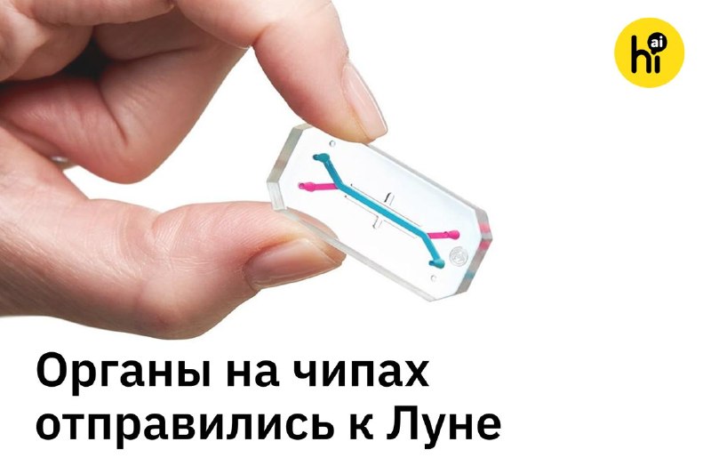 🚀 NASA отправило к Луне мини-копии костного мозга астронавтов
Вместе с экипажем Артемиды II на деся