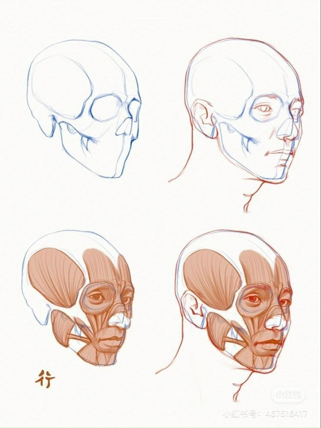 Голова
Sketch
Tutorial