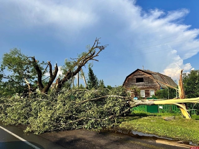 Последствия шторма в Псковской и Витебской областях
Ф...