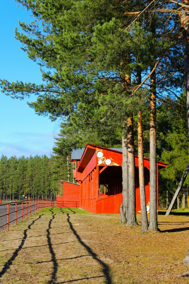 Хорошевский коневодческий комплекс 🍂🍂
Правда краси...