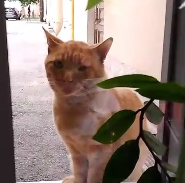 Уважаемые жители Кронштадта! Около месяца назад потер?...