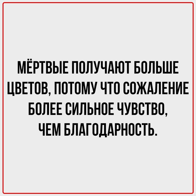 Факты, о которых вы никогда не задумывались.