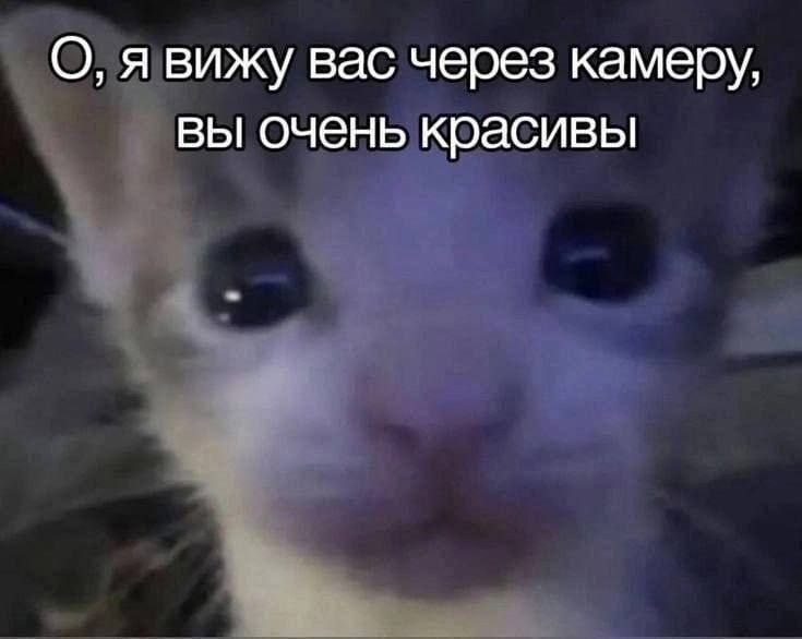 Утренняя подборочка