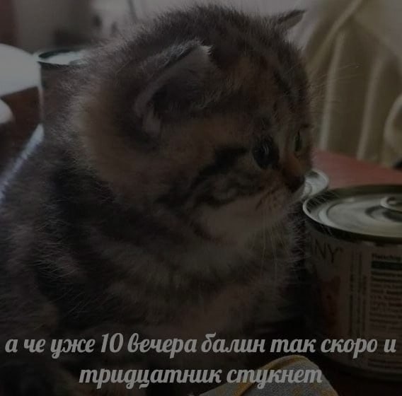 Ночная подборочка
Спать, режим