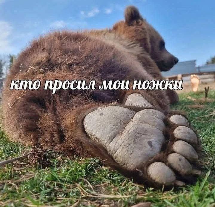 Утренняя подборочка