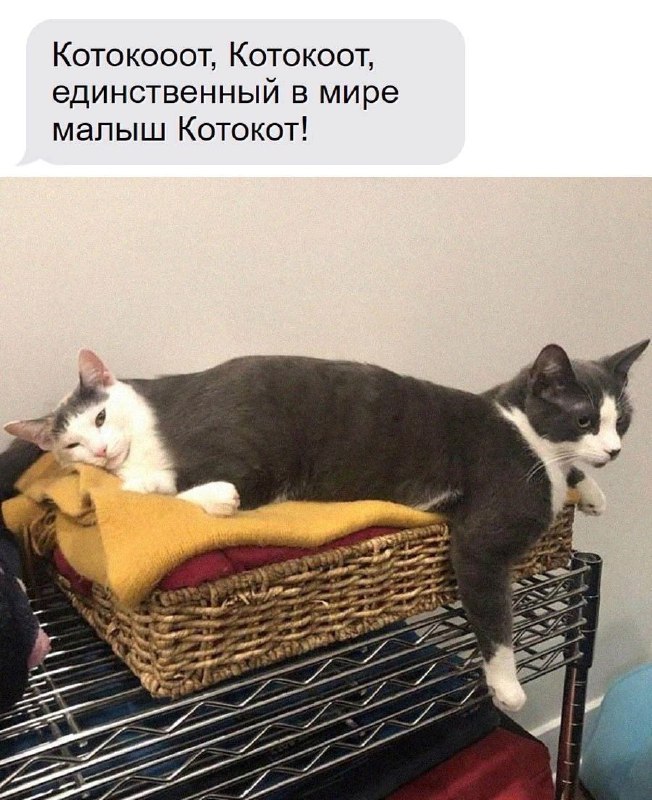 Он существует