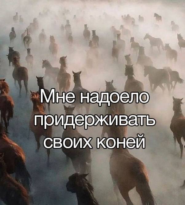 ❗️❗️❗️МЕМББОТА, ДРУЗЬЯ. Делимся в комментариях самыми лучшими мемами, раздаю медальки🏅