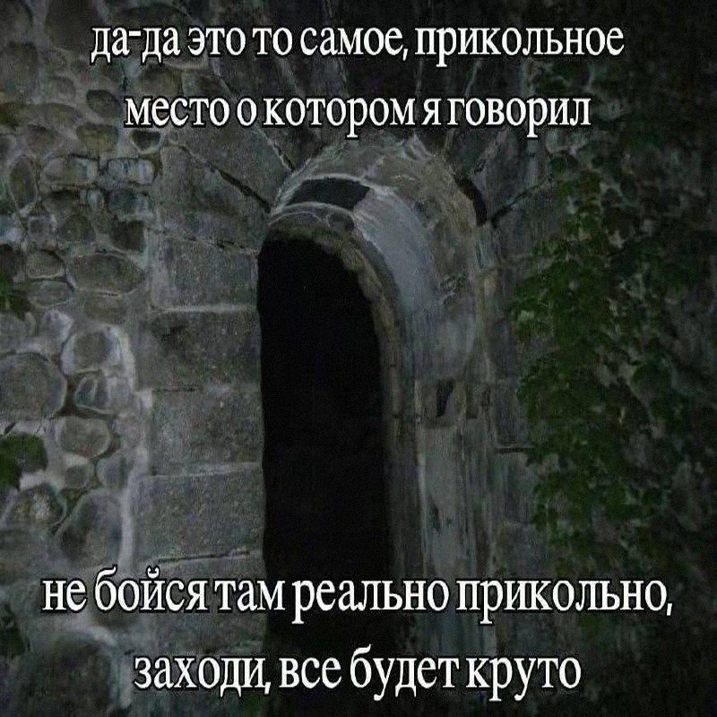 Утренняя подборочка