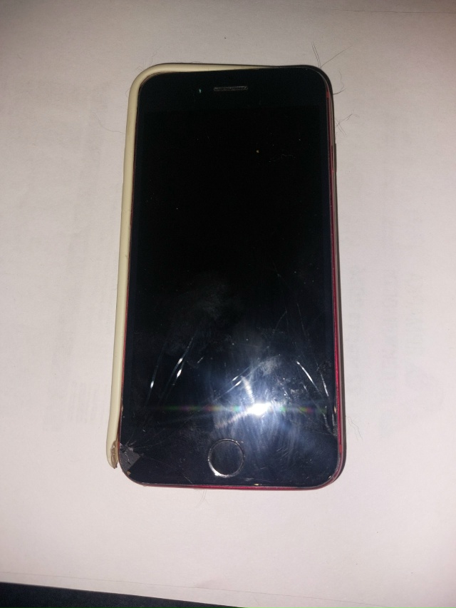 Подснежник на Ботанической: на поляне найден в усмерть...