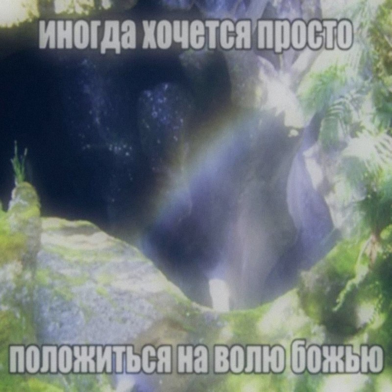 Ночная подборочка
Спать, режим