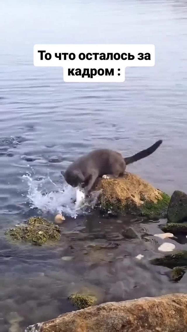 То, что не попало в кадр