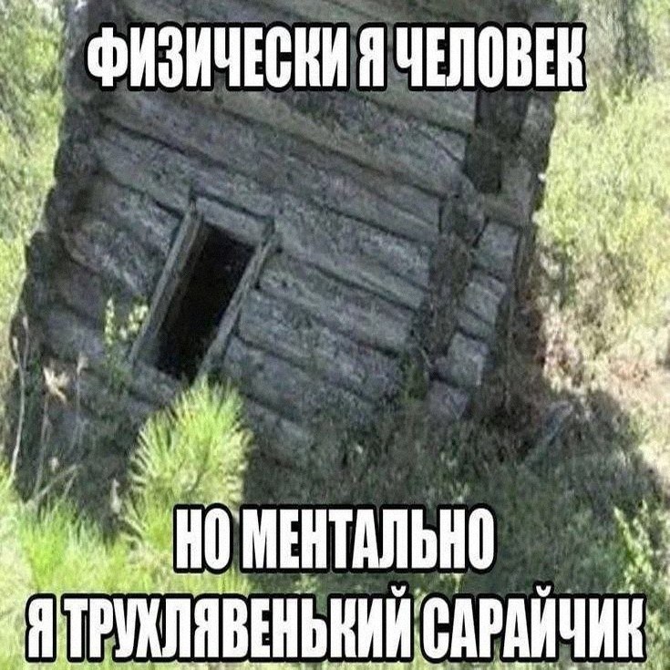 Утренняя подборочка