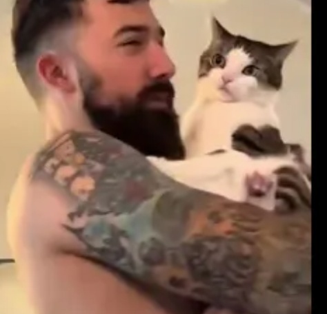 Котяры слишком опасны, от них не ждешь коварства!