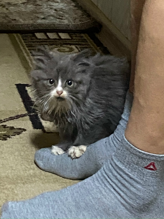 Админ, пожалуйста, выложите🙏
Сейчас на объездной доро...