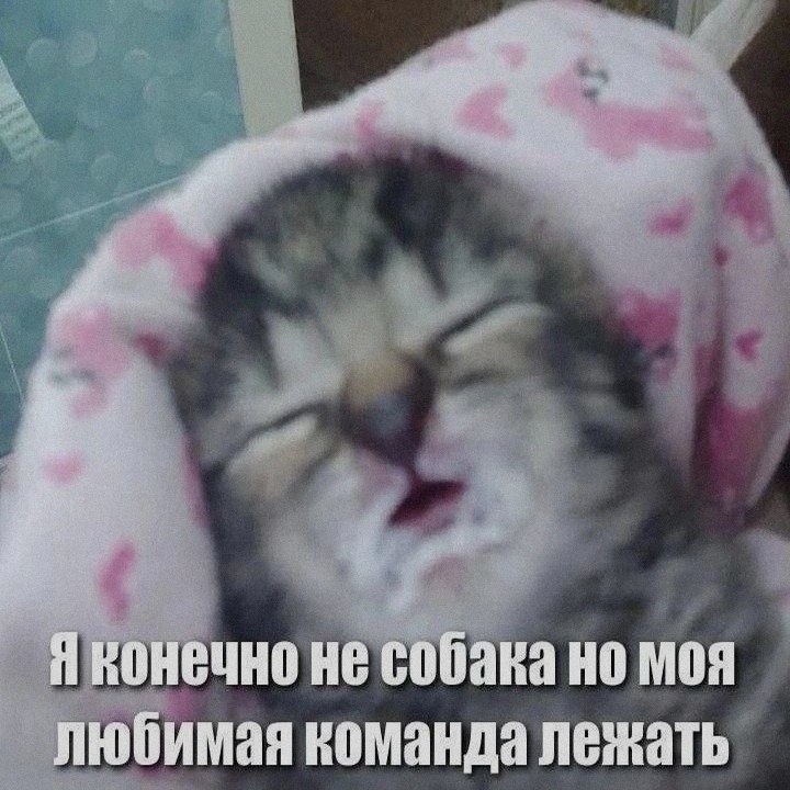 Ночная подборочка
Спать, режим