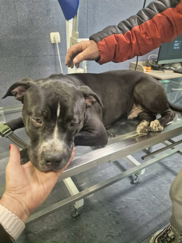 22.11.2025 на ул.Болдина около 20.00 в районе магазина 