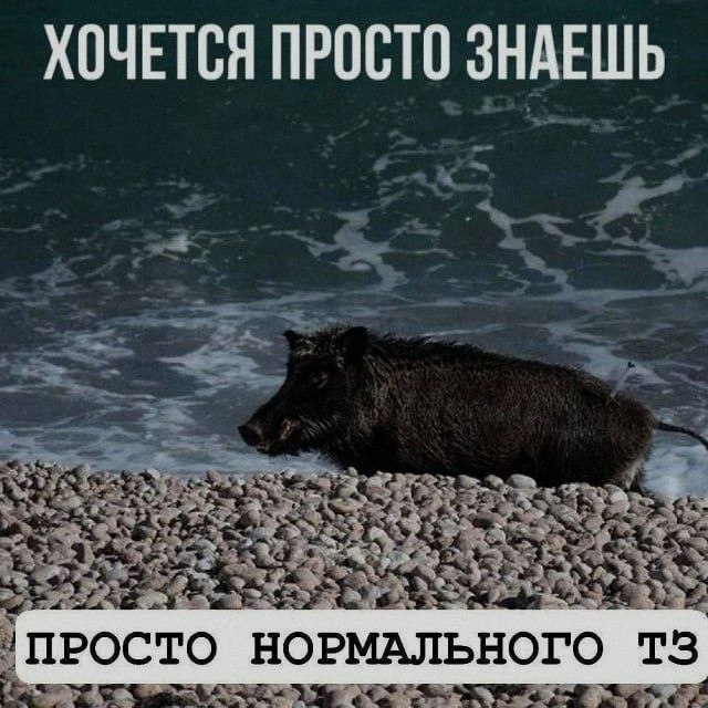Ночная подборочка
Спать, режим