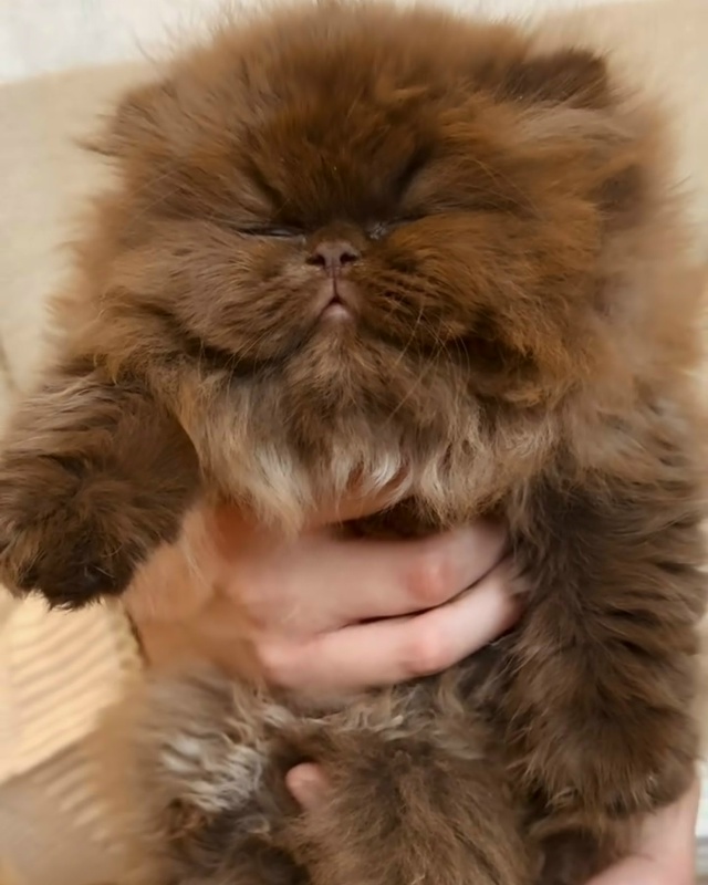 Какой милаш