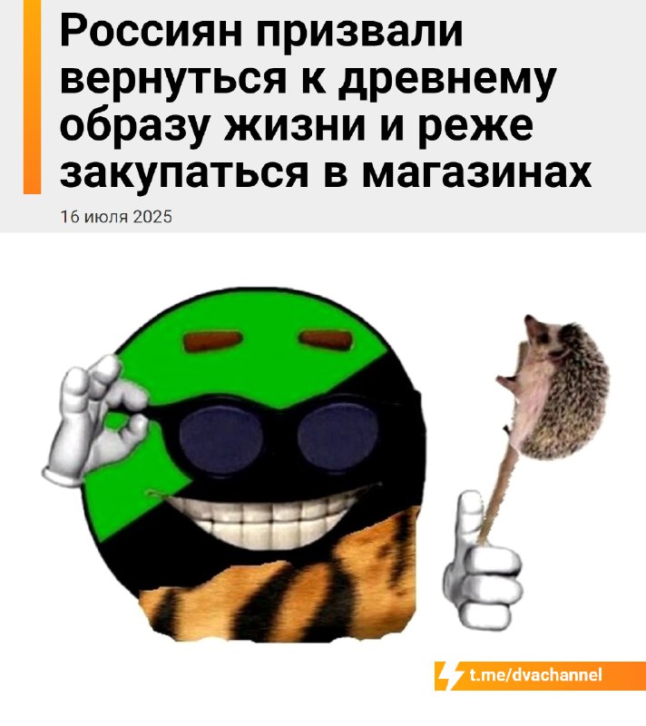 Россиян призвали вернуться к древнему образу жизни и реже ходить в магазины
В Общественном совете п