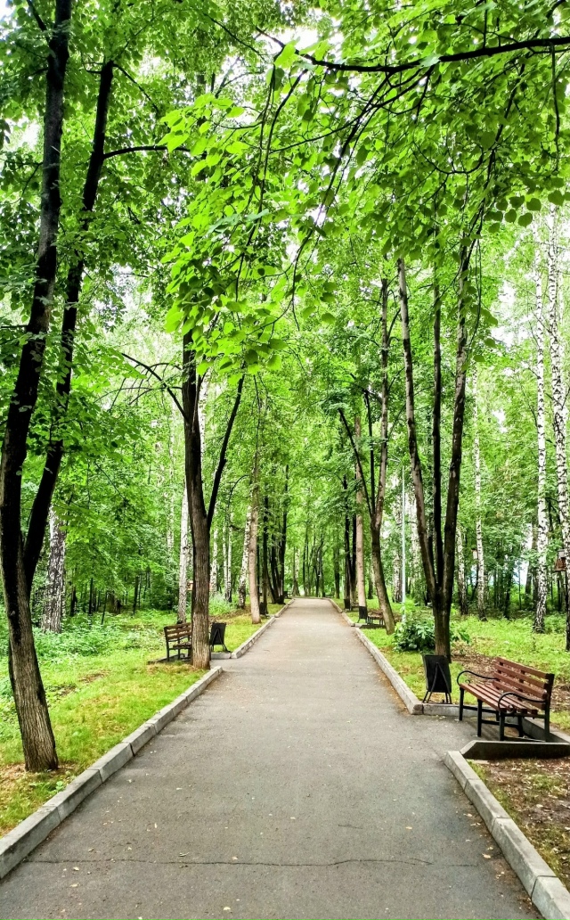Лeтнee утpo в пapкe Бугpинcкaя poщa. .🤗🌤🌳🌳🌳🌱🍃