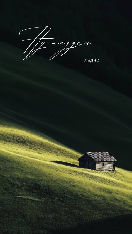 Ловите подборку антистресс-заставок на все случаи жизни