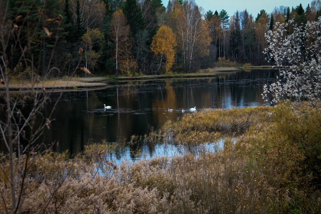 Доброе утро ⛅
Фото: Lyubava lv