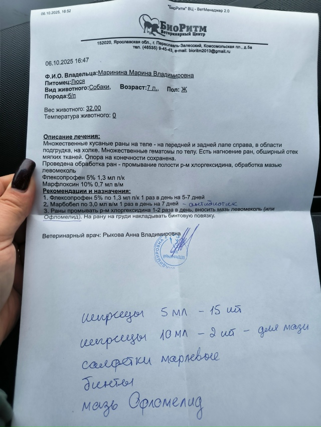 Друзья, нужна помощь! 😪
Сегодня звонит папа 