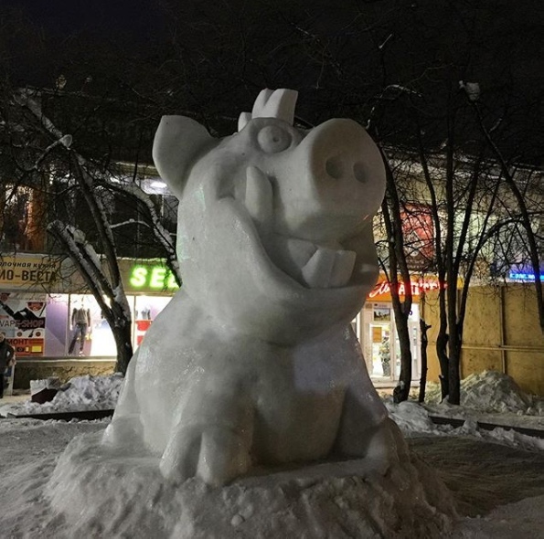 Β Акaдeмe выpeзaли cимвoл 2019 гoдa.