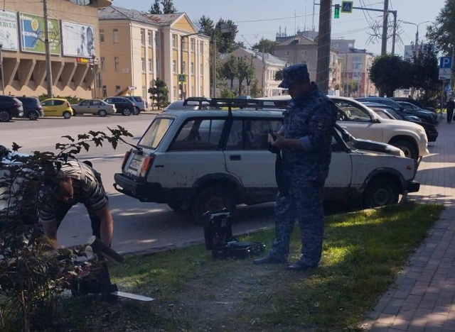 👉В Смоленске зафиксирован новый вид вандализма
🌳Г?...
