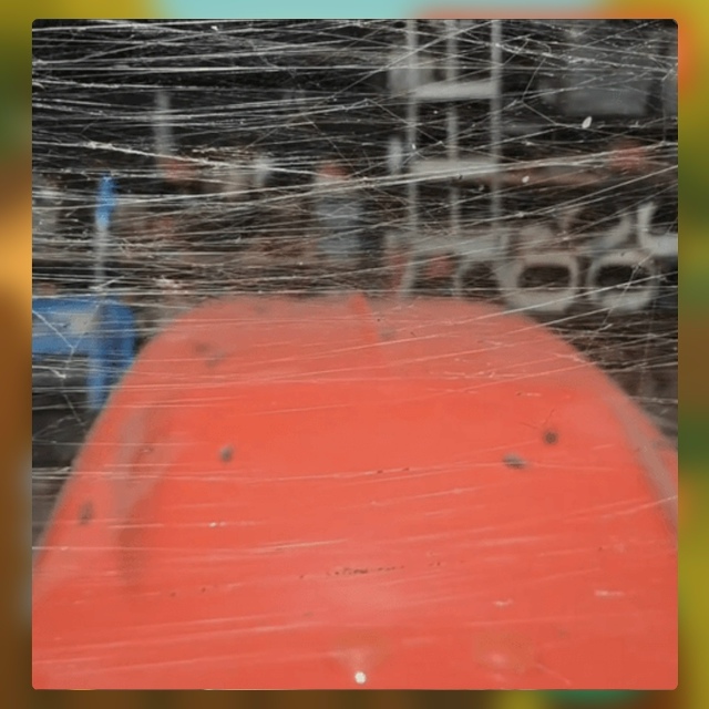 Безумные приколы
В Австралии вопрос недвижимости реша...