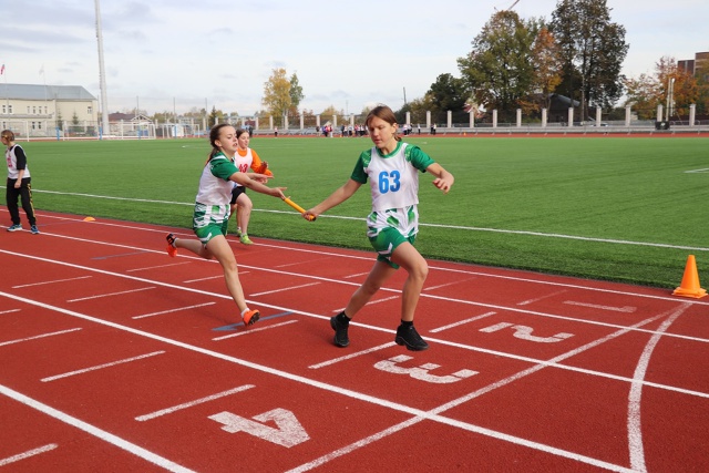 Областной этап 🏃‍♀🏃‍♂🏊‍♂⛹‍♀Всероссийских спо...