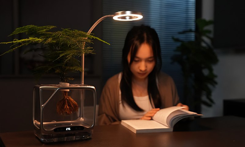 Китайские умельцы создали умный прозрачный горшок: земля не нужна, корни висят в воздухе и питаются