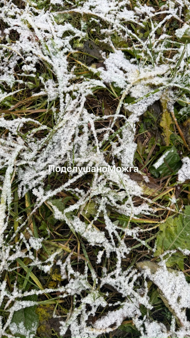 Дождались снега?)
Ставим ставки - надолго или нет)