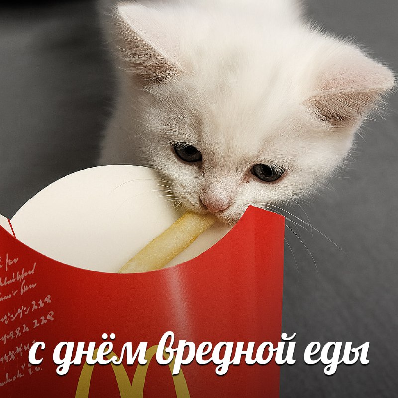 Сегодня отмечается День нездоровой пищи
Сегодня можно сорваться