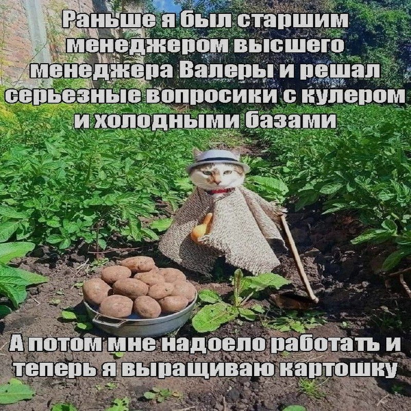 Ночная подборочка
Спать, режим