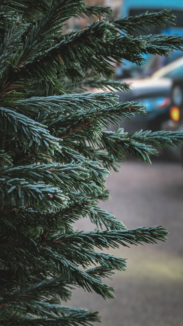 Вот теперь ноябрь ❄️🍂
Снято на мобильник Google Pixel 7 Pro