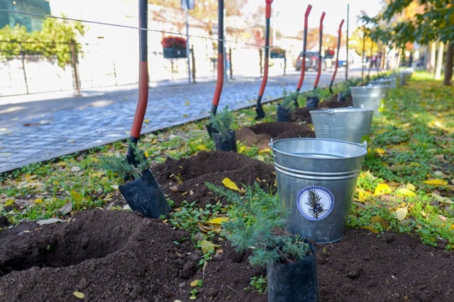 🌿Сегодня вместе с министром экологии и природных рес?...
