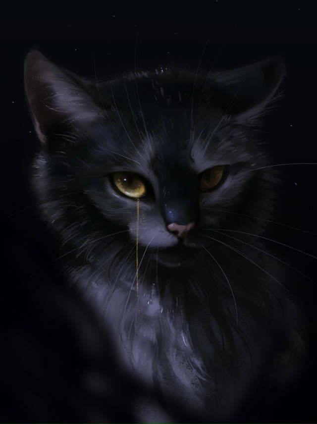 Серое Крыло
© [club135064616|Bezh]
#KV_ZZ_ART