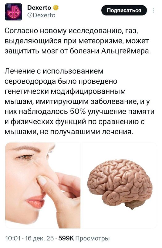 Новости, которые мы заслужили: Нюхать собственный пердеж полезно для мозга, утверждают учёные из Уни