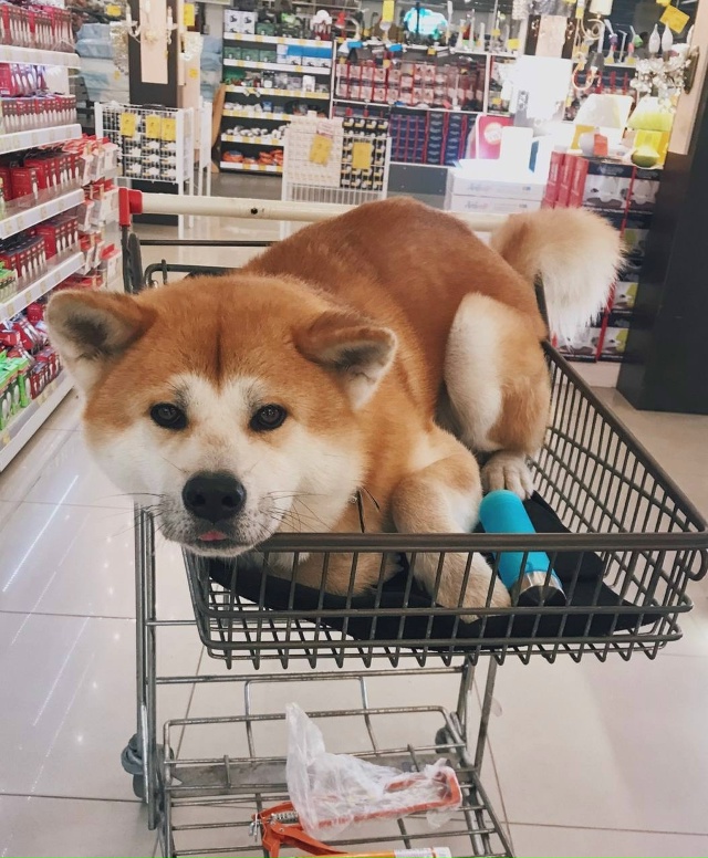 В Госдуме предложили Минздраву изменить санитарные но...