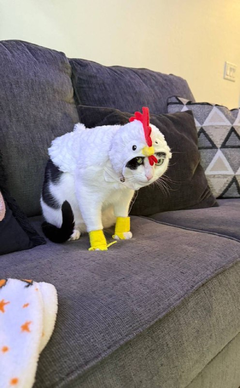 Мама, ты не понемаешь, ето не сложный период, ето настоящий я!!