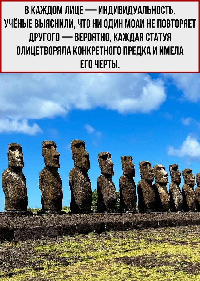 Вы много раз их видели, но мало что о них знаете.
Пора эт...